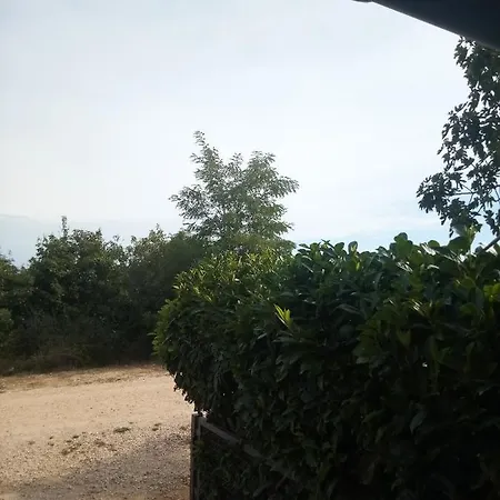 Olimp Third Appartement *